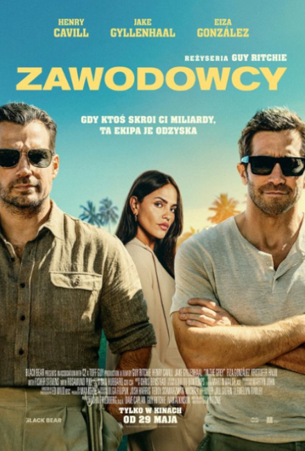 Zawodowcy